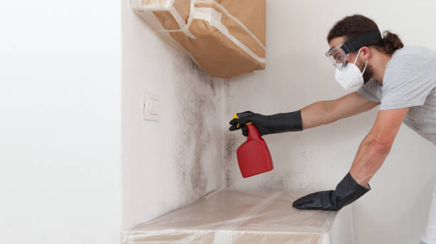 Professional Bathroom Mold Removal technician working in Quincy, MI