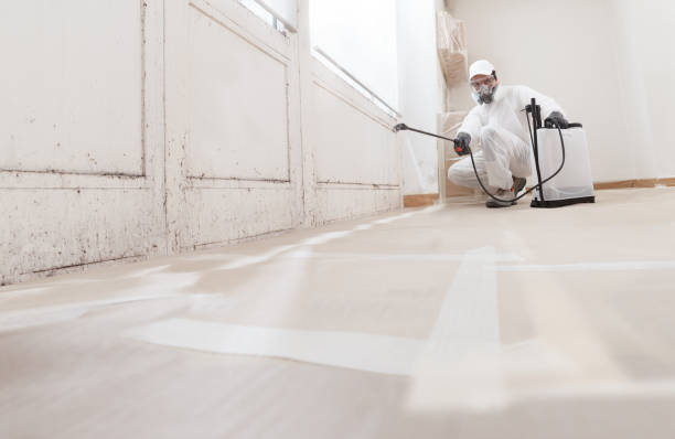 24/7 Emergency Bathroom Mold Removal experts in Quincy, MI