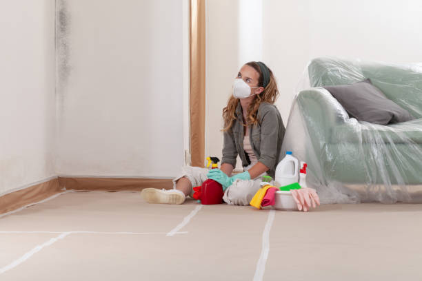 Reliable Bathroom Mold Removal contractor in Quincy, MI by 24 Hour Mold Removal